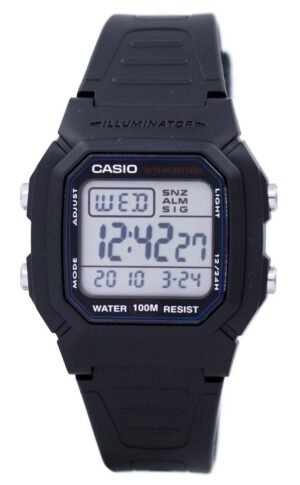 w-800h-1avdf-jpg