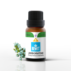 Tuja (Arborvitae) olejek eteryczny