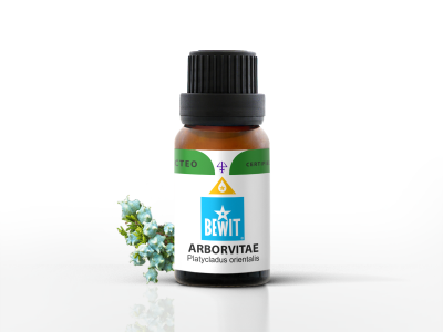 Tuja (Arborvitae) olejek eteryczny