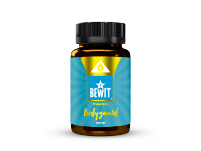 PRAWTEIN BODYGUARD