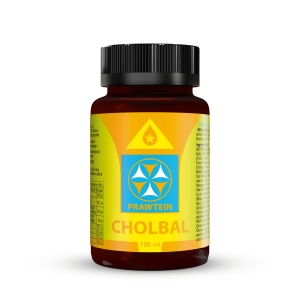 PRAWTEIN CHOLBAL