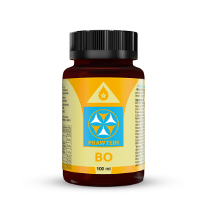 PRAWTEIN BO