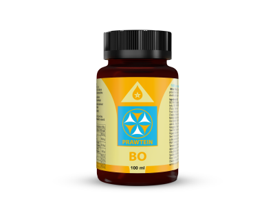 PRAWTEIN BO