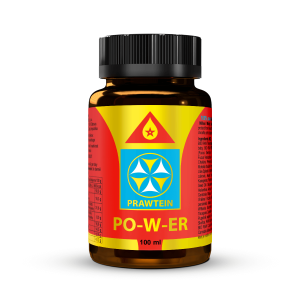 PRAWTEIN PO-W-ER