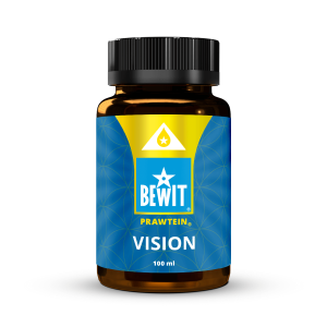 PRAWTEIN VISION