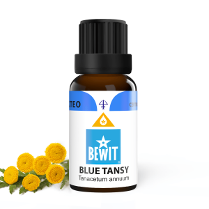 Blue tansy – Wrotycz olejek eteryczny