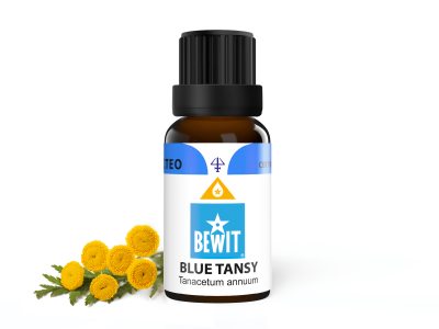 Blue tansy – Wrotycz olejek eteryczny