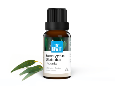 Eukalyptus Globulus BIO olejek eteryczny